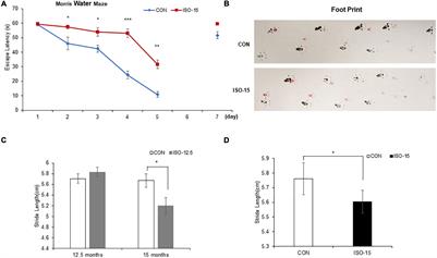 CHIP Decline Is Associated With Isoflurane-Induced Neurodegeneration in Aged Mice